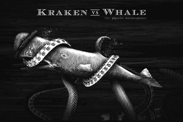 Kraken магазин
