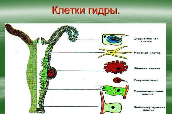 Рабочий сайт kraken