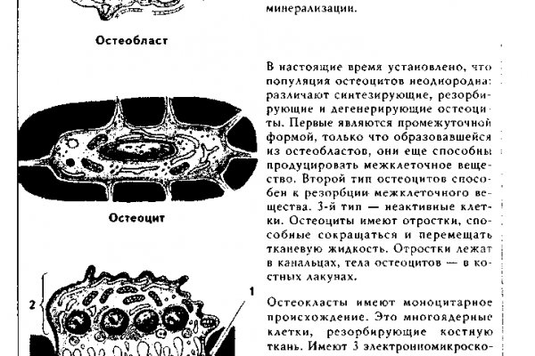 Kraken darknet market зеркало