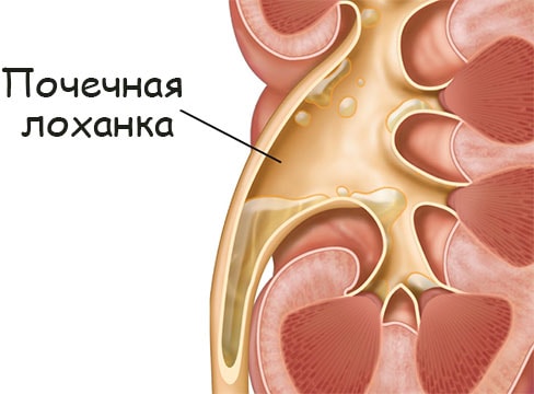Оригинальная ссылка кракен браузера